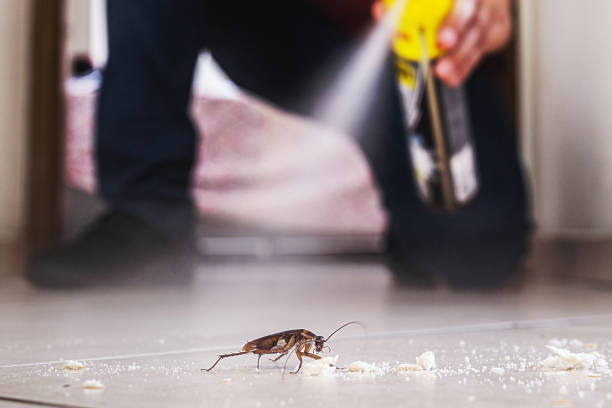 Best Pest Control for Restaurants  in USA